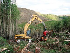 forestry equipment for sale in pittsboro nc